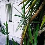 Apartamento Marinella House Centro Piazza Dante *