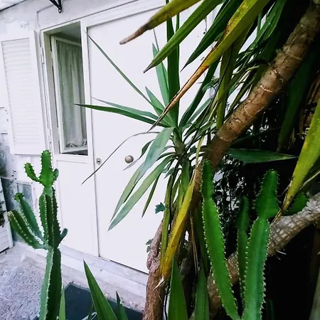 Lejlighed Marinella House Centro Piazza Dante *